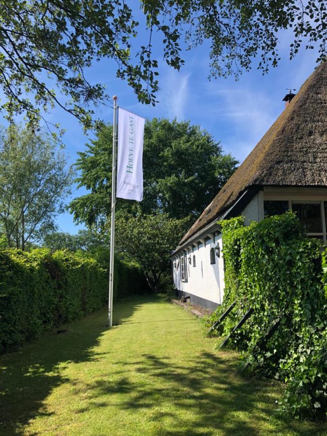Hoeve Te Gast - Vakantieboerderij Couette-café *