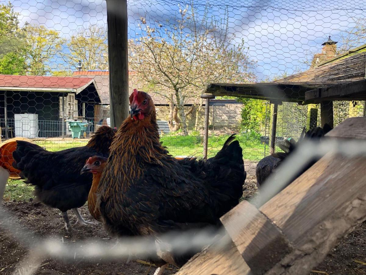 Hoeve Te Gast - Vakantieboerderij